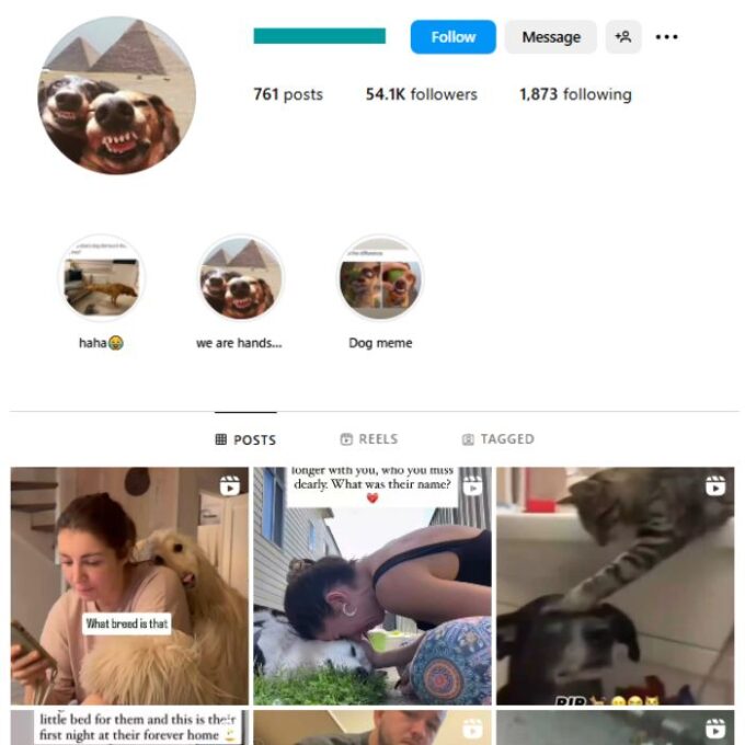 50K Pets Dogs Instagram Account for sale