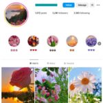 5K Flowers Photography Instagram Account for sale
