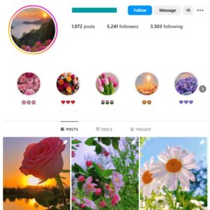 5K Flowers Photography Instagram Account for sale