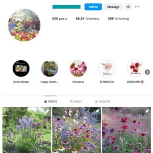 65K Plant Pot Gardening Instagram Account for sale