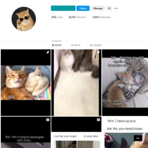 8K Cats Pets Instagram Account for Sale
