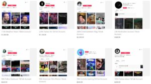 TikTok Accounts for Sale