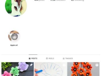 11K Beautiful Flowers Instagram Account for sale