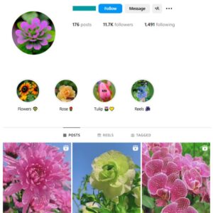 11K Flowers Nature Instagram Account for sale