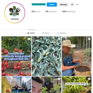 11K Vegetables Plants Instagram Account for sale