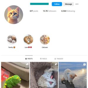 13K Cute Cats Instagram Account for sale