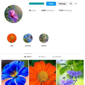 1K Nature Flowers Instagram Account for sale