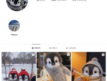 1K Penguin Animals Instagram Account for sale