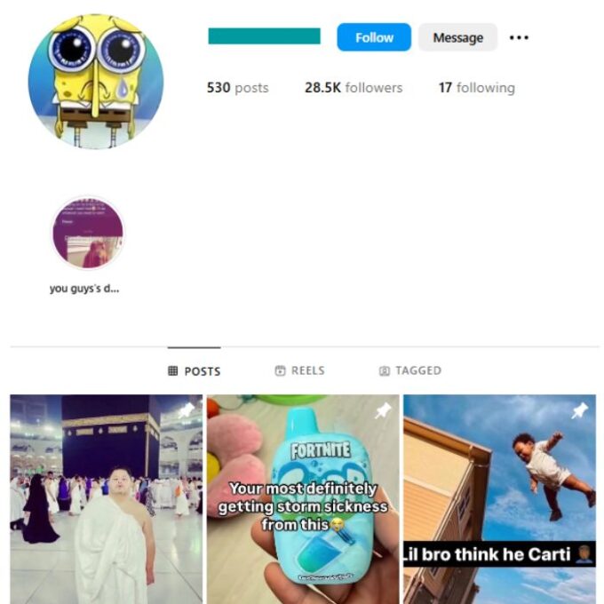 28K Memes Humor Instagram Account for sale