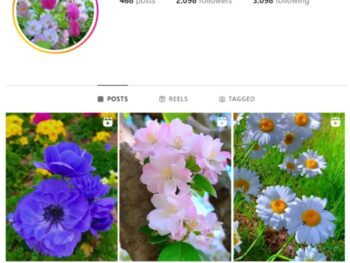 2K Flowers Roses Instagram Account for sale