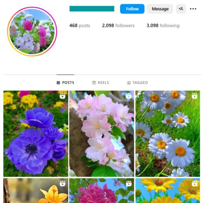2K Flowers Roses Instagram Account for sale