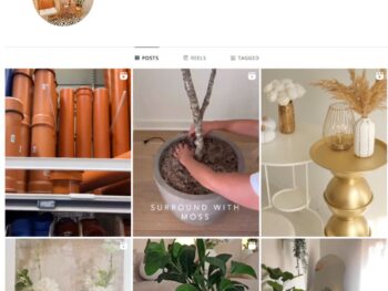 30K Cats Kittens Instagram Account for Sale