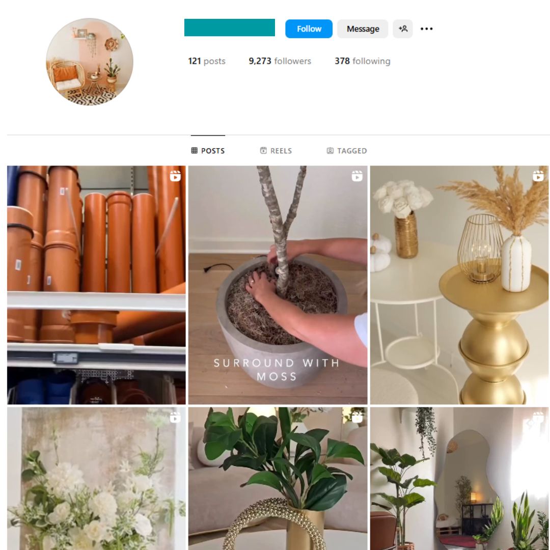 30K Cats Kittens Instagram Account for Sale