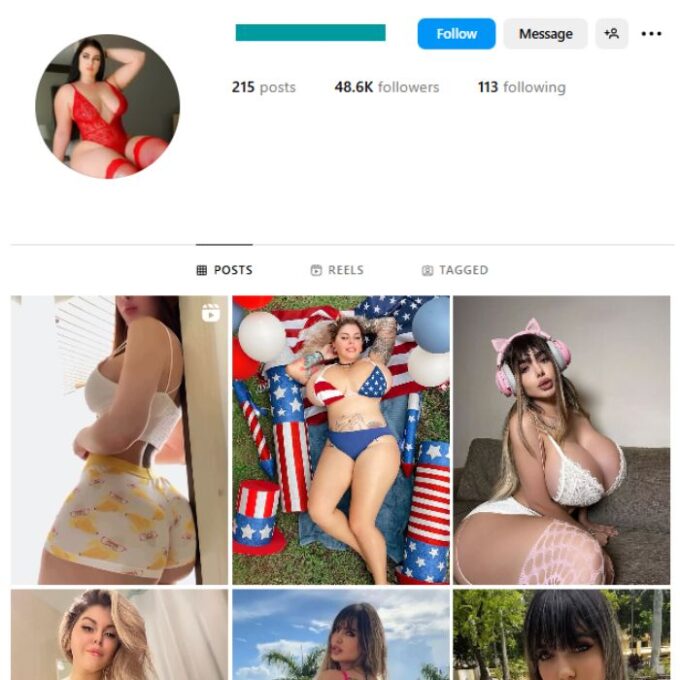 48K Adult Models Instagram Account for sale