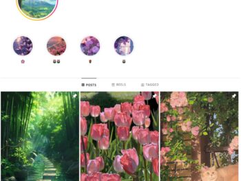 4K Nature Landscapes Instagram Account for Sale