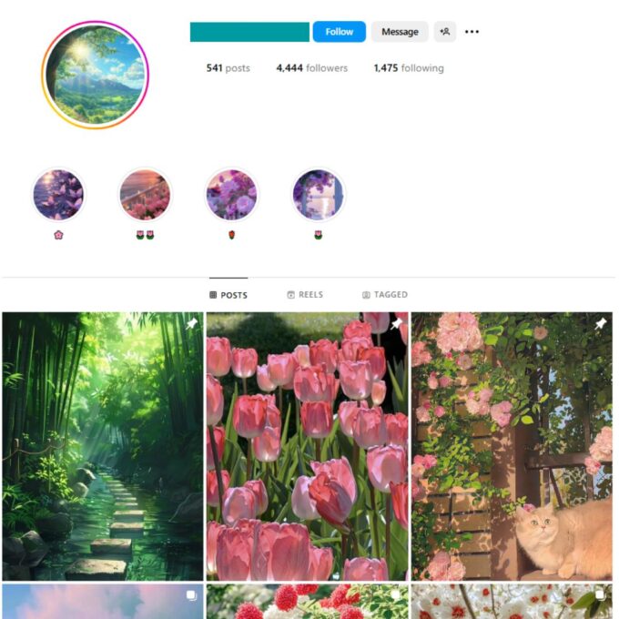 4K Nature Landscapes Instagram Account for Sale