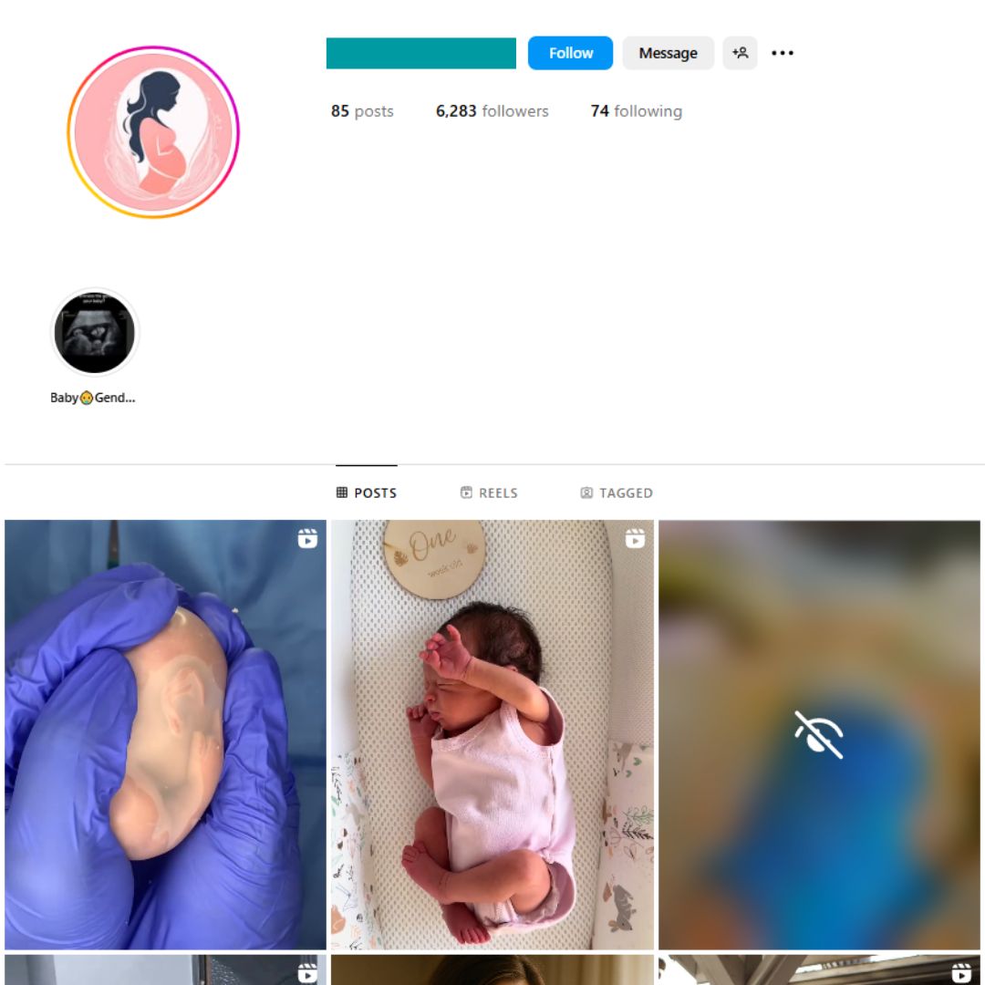 6K Babies Pregnancy Instagram Account for Sale