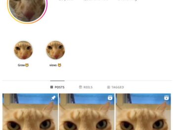 6K Entertainment Fails Instagram Account for sale