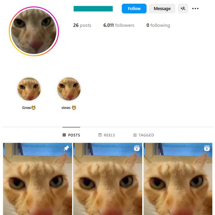 6K Entertainment Fails Instagram Account for sale