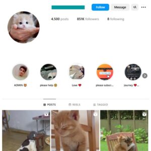 850K Animals Cats Instagram Account for sale