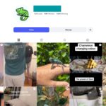 100K Chameleon Pets Instagram Account for Sale