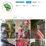 120K Chameleon Pets Instagram Account for sale