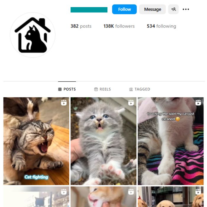 130K Pets Cats Instagram Account for sale