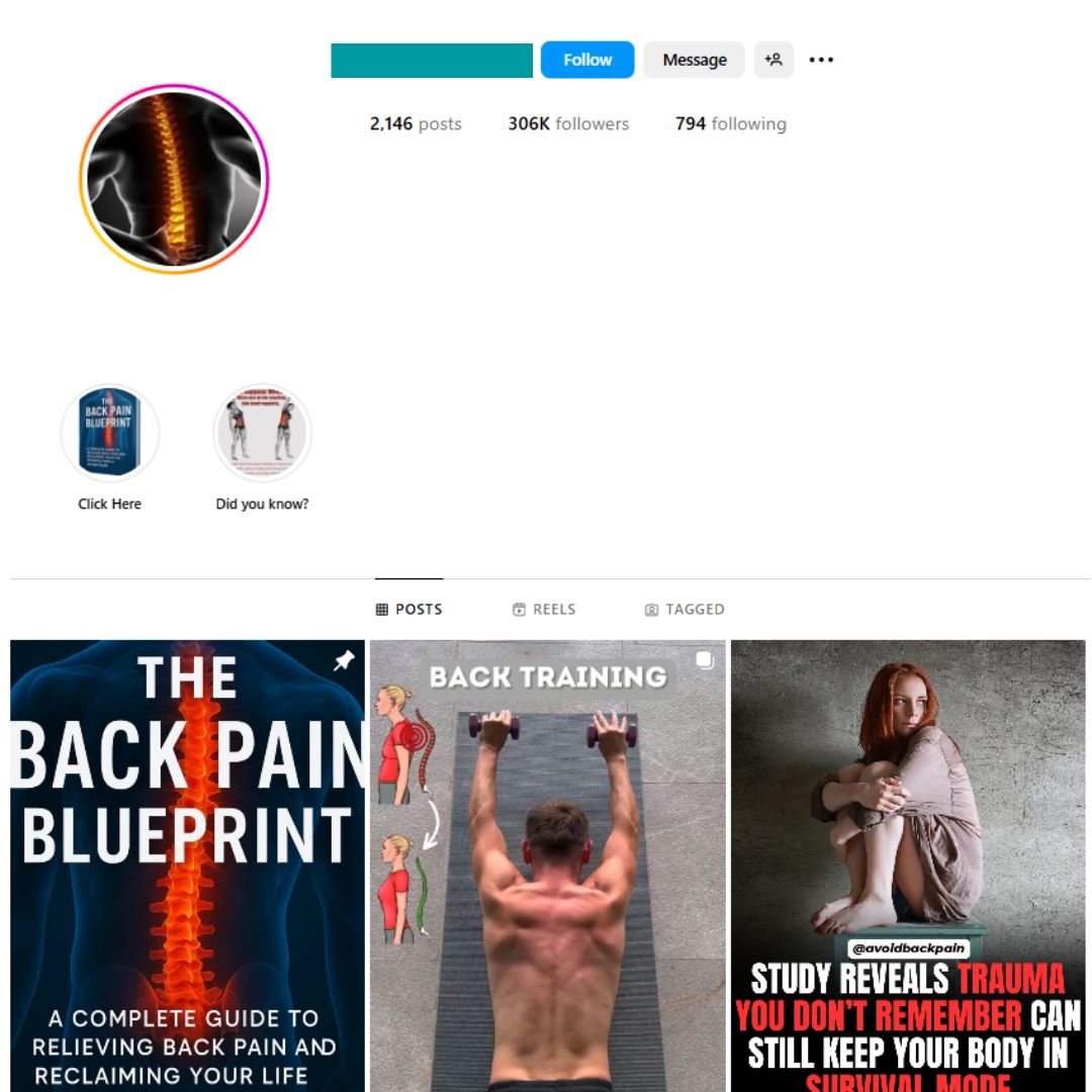 300K Fitness Back Pain Instagram Account for Sale
