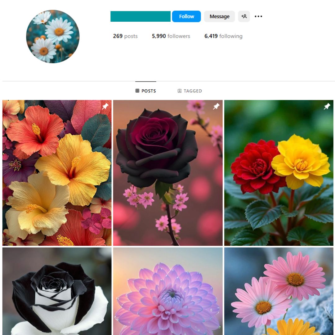 5K Flowers Nature Instagram Account for Sale
