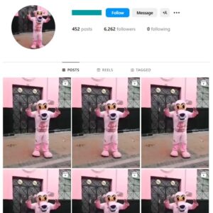 6K Dance Mascot Instagram Account for sale