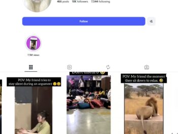 10K Kittens Cats Instagram Account for Sale