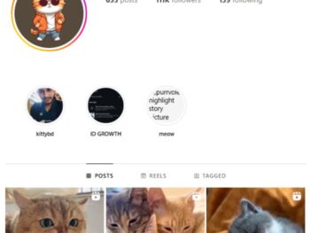 110K Pets Cats Instagram Account for sale