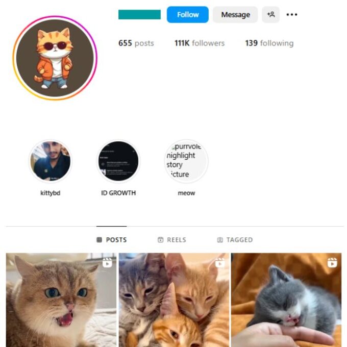 110K Pets Cats Instagram Account for sale