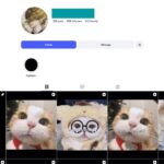 110K Pickup Lines Edits Instagram Account for Sale