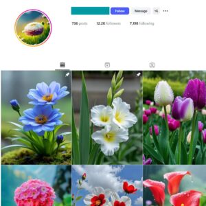 12K Flowers Photography Instagram Account for Sale