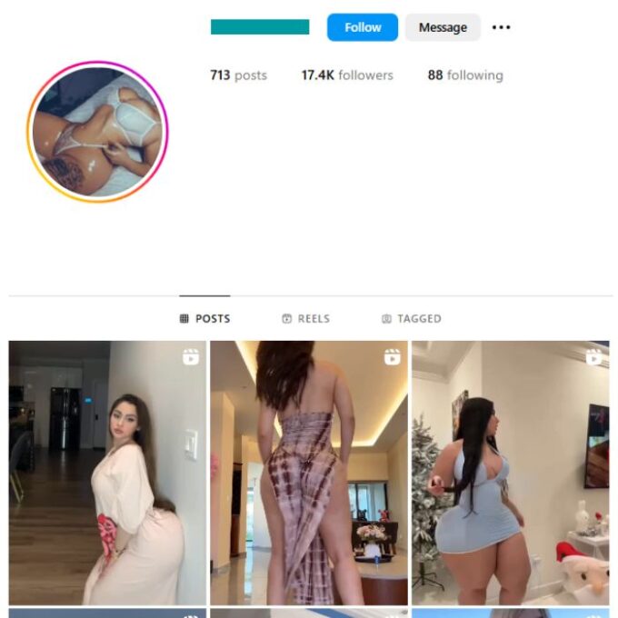 17K Adult Models Instagram Account for sale