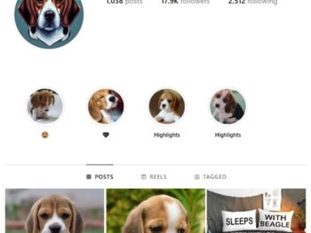 17K Beagle Dogs Instagram Account for sale