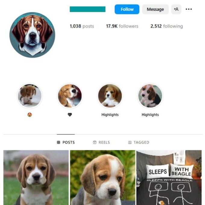 17K Beagle Dogs Instagram Account for sale
