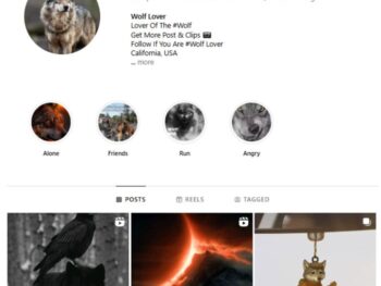 17K Wolf Dog Instagram Account for sale