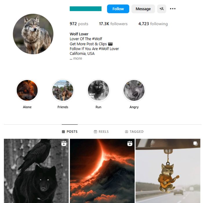 17K Wolf Dog Instagram Account for sale