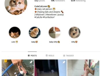 18K Cats Pets Instagram Account for sale