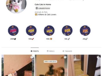 190K Cute Cats Instagram Account for sale