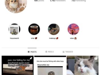 1K Cute Cats Instagram Account for sale