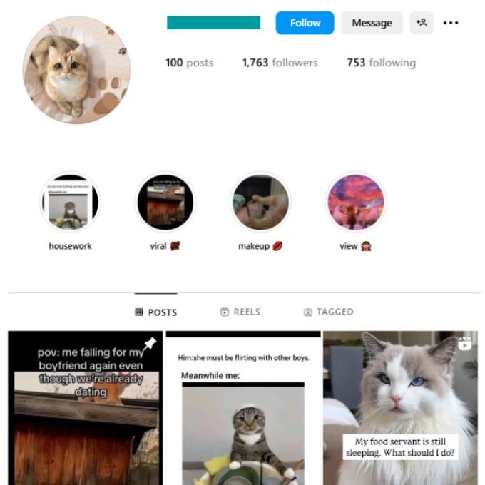 1K Cute Cats Instagram Account for sale