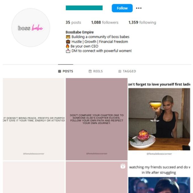 1K Entrepreneur Women Instagram Account for sale