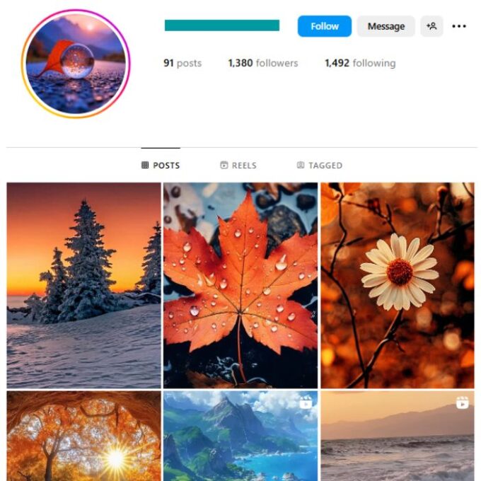 1K Nature Photography Instagram Account for sale