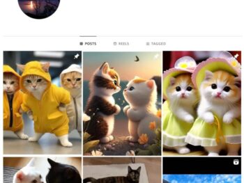 20K Cats Pets Instagram Account for sale