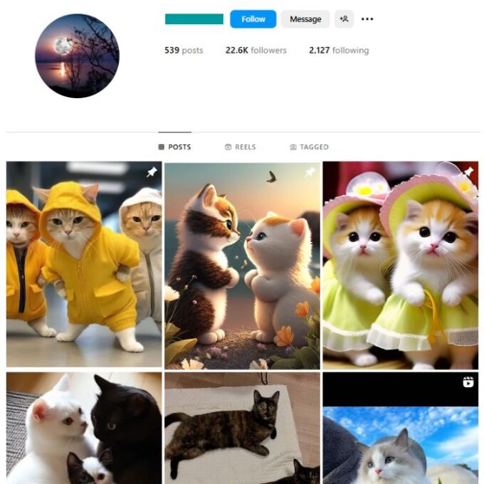 20K Cats Pets Instagram Account for sale