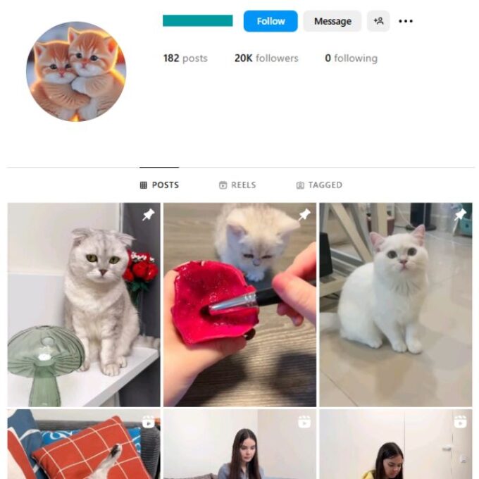 20K Kittens Cats Instagram Account for sale