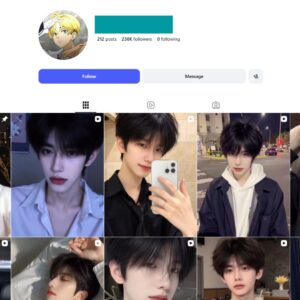 230K Asian Aesthetics Fashion Instagram Account for Sale